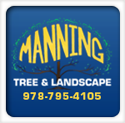 Manning Tree & Landscape
