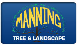 Manning Tree & Landscape